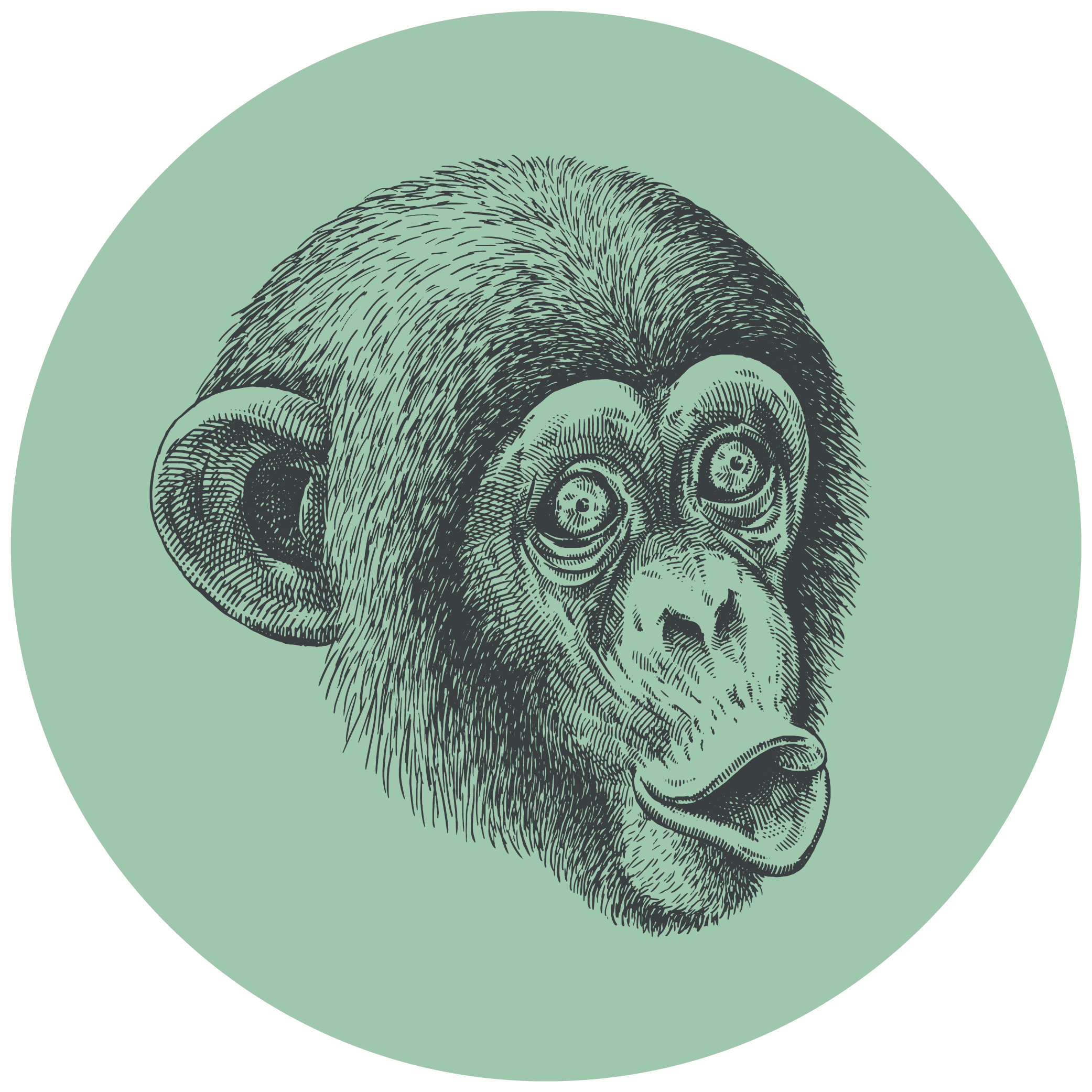 Monkey Business-Kunden